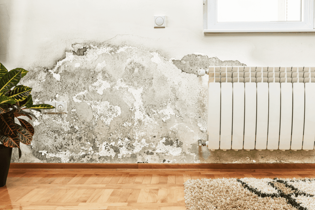 5 Signs Of Water Damage In Walls