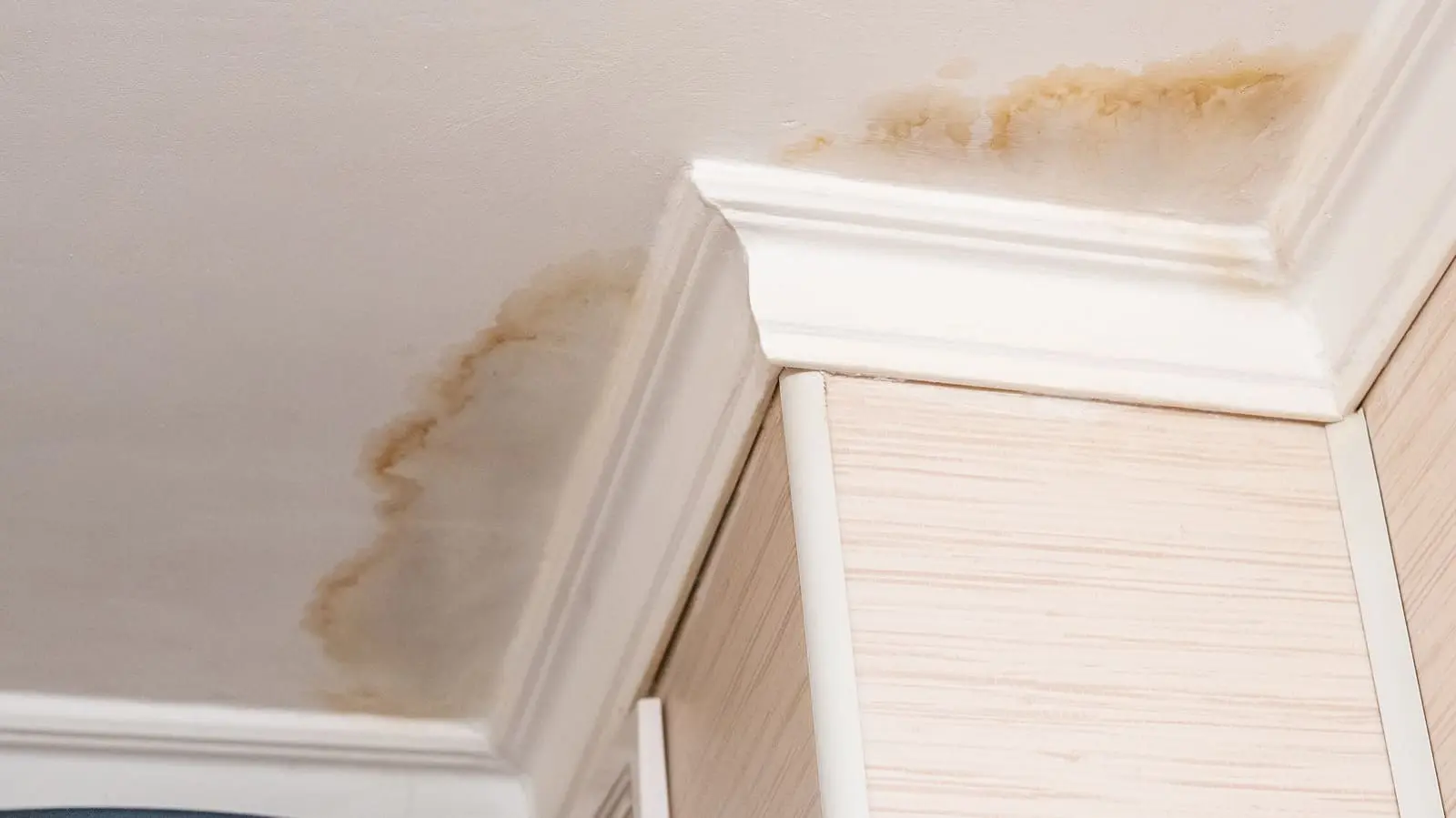 water damage ceiling Sarasota florida