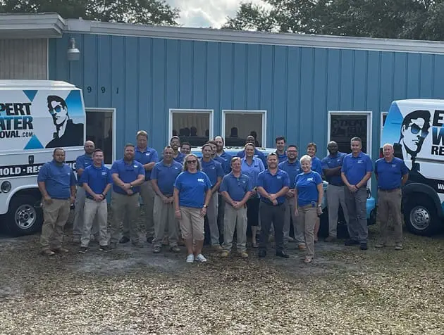 Expert_Water_Removal_Team