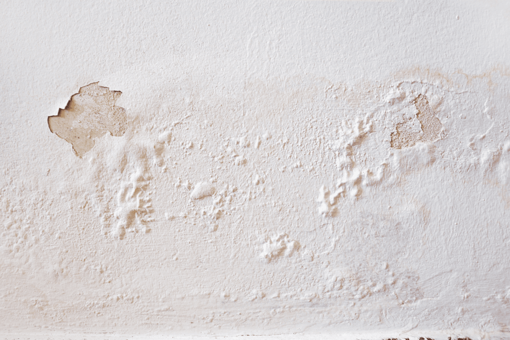 Paint Damage: Flaking or Peeling Paint - Signs Of Water Damage In Walls