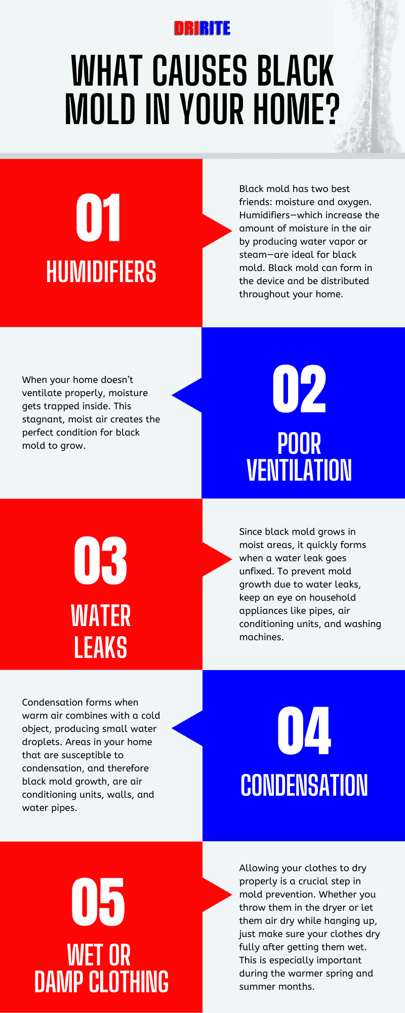 What causes black mold in your home?