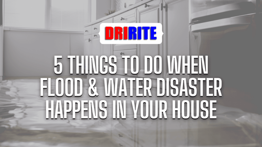 5 Things to Do When Flood & Water Disaster Happens in Your House Banner