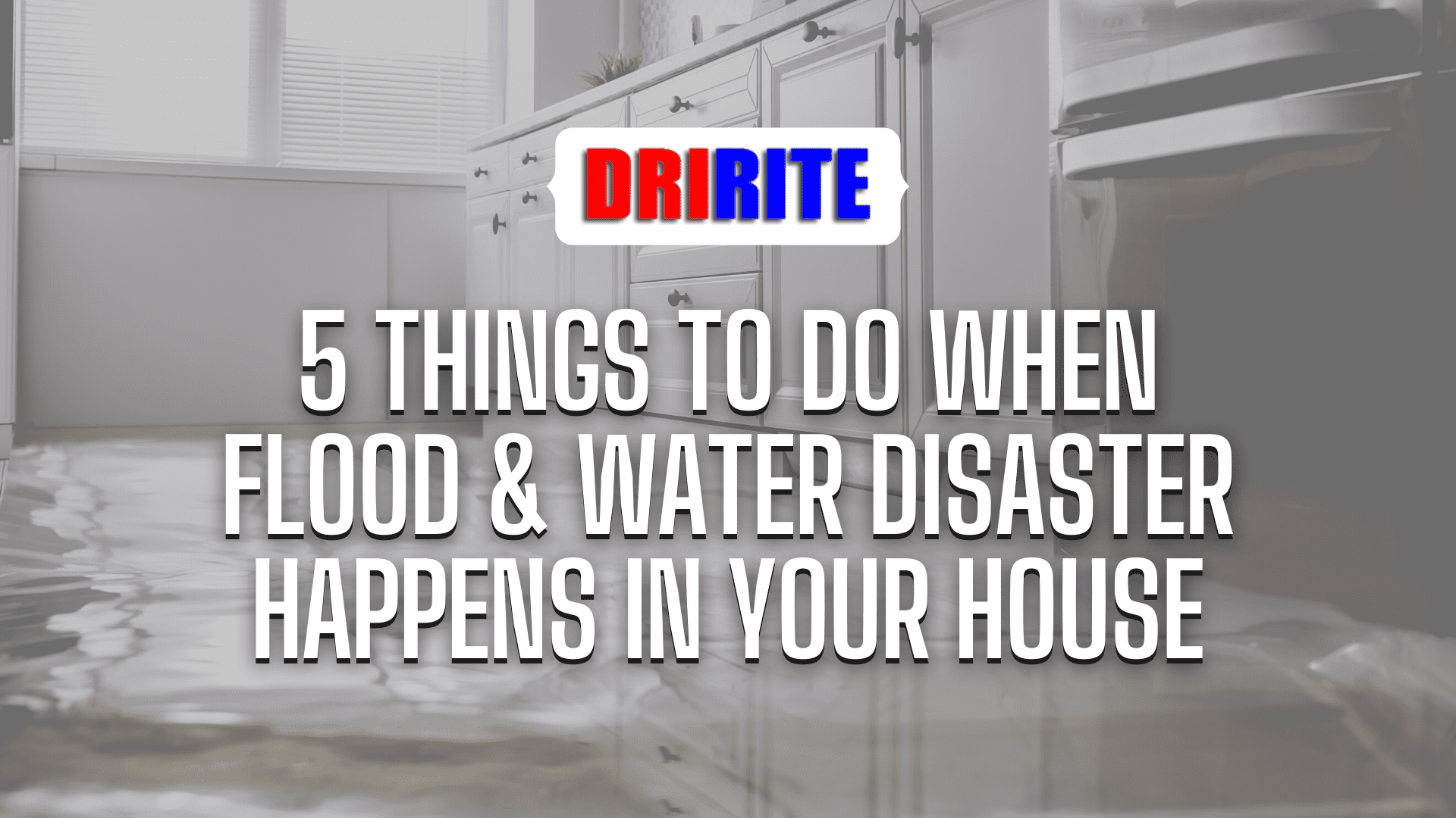 5 Things to Do When Flood & Water Disaster Happens in Your House Banner
