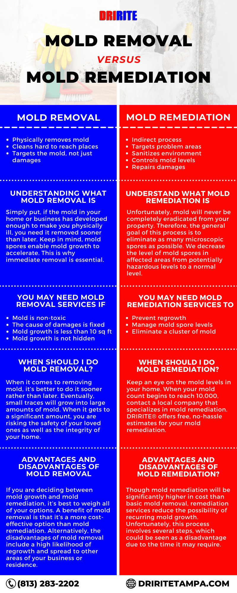 Mold Removal Vs Mold Remediation
