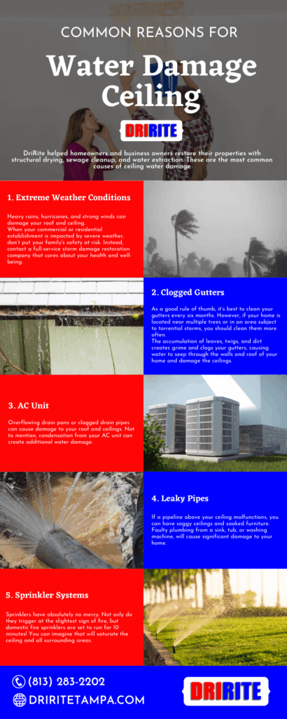 Common Reasons for Water Damage Ceiling