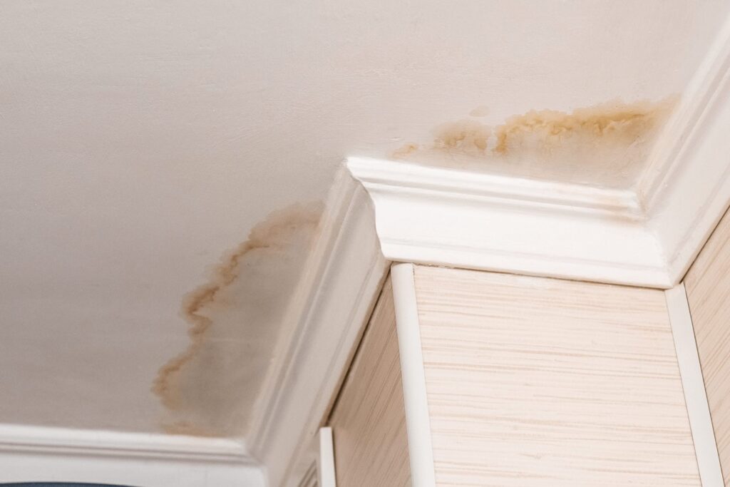 Yellowish Brown Water Spots - Ceiling Water Damage