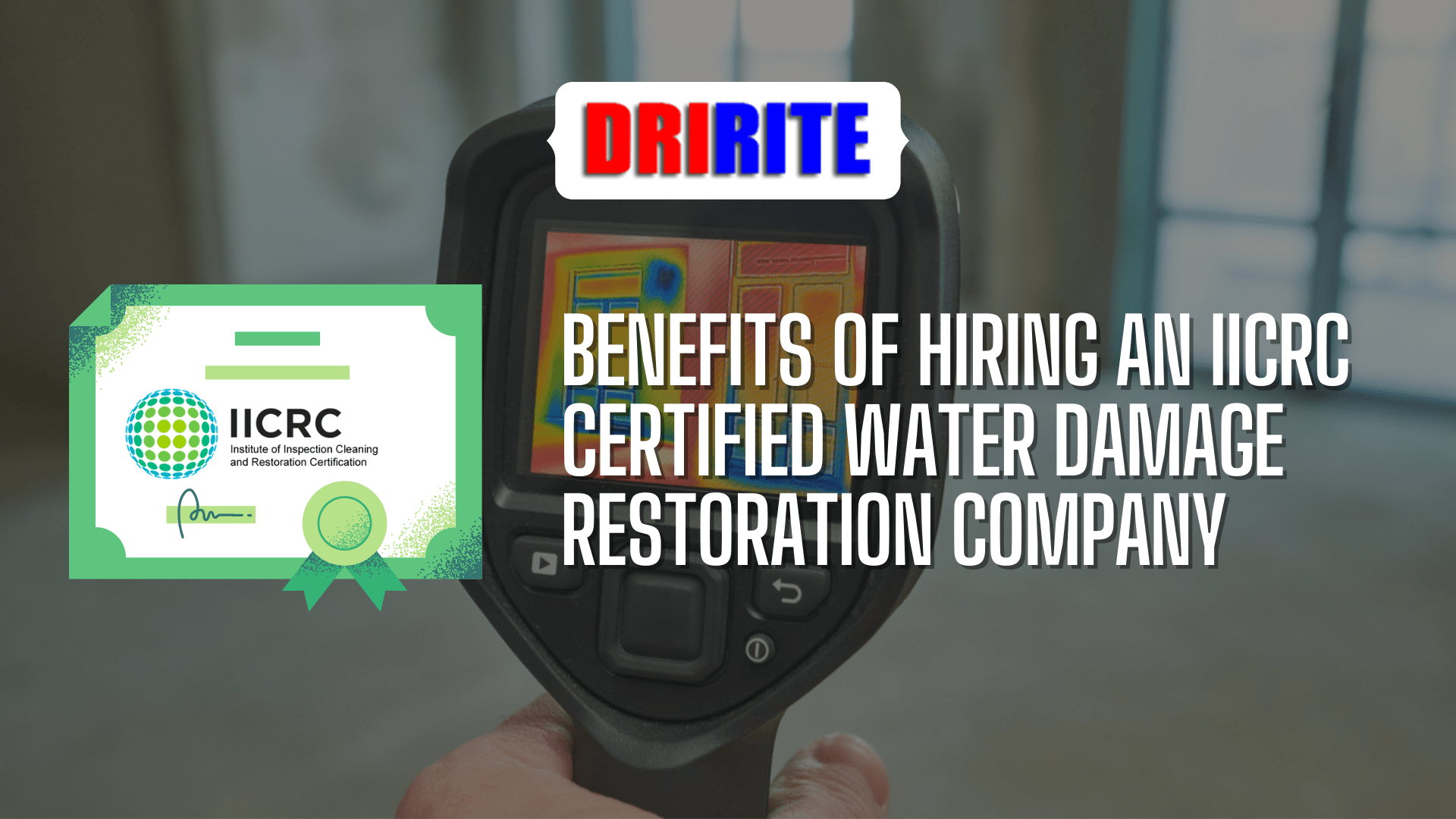 Benefits of Hiring an IICRC-Certified Water Damage Restoration Company