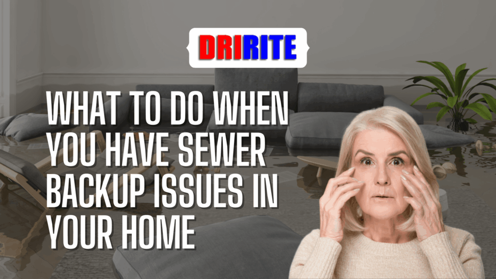 What To Do When You Have Sewer Backup Issues In Your Home