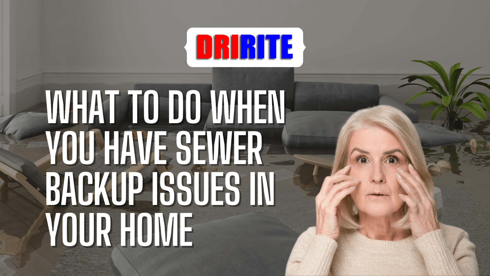 What To Do When You Have Sewer Backup Issues In Your Home