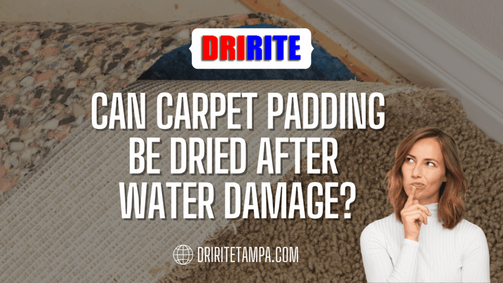 Can Carpet Padding Be Dried After Water Damage