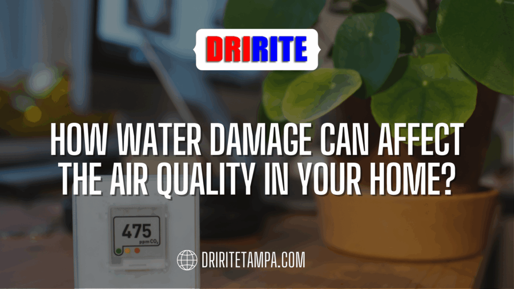 How Water Damage Can Affect the Air Quality in Your Home