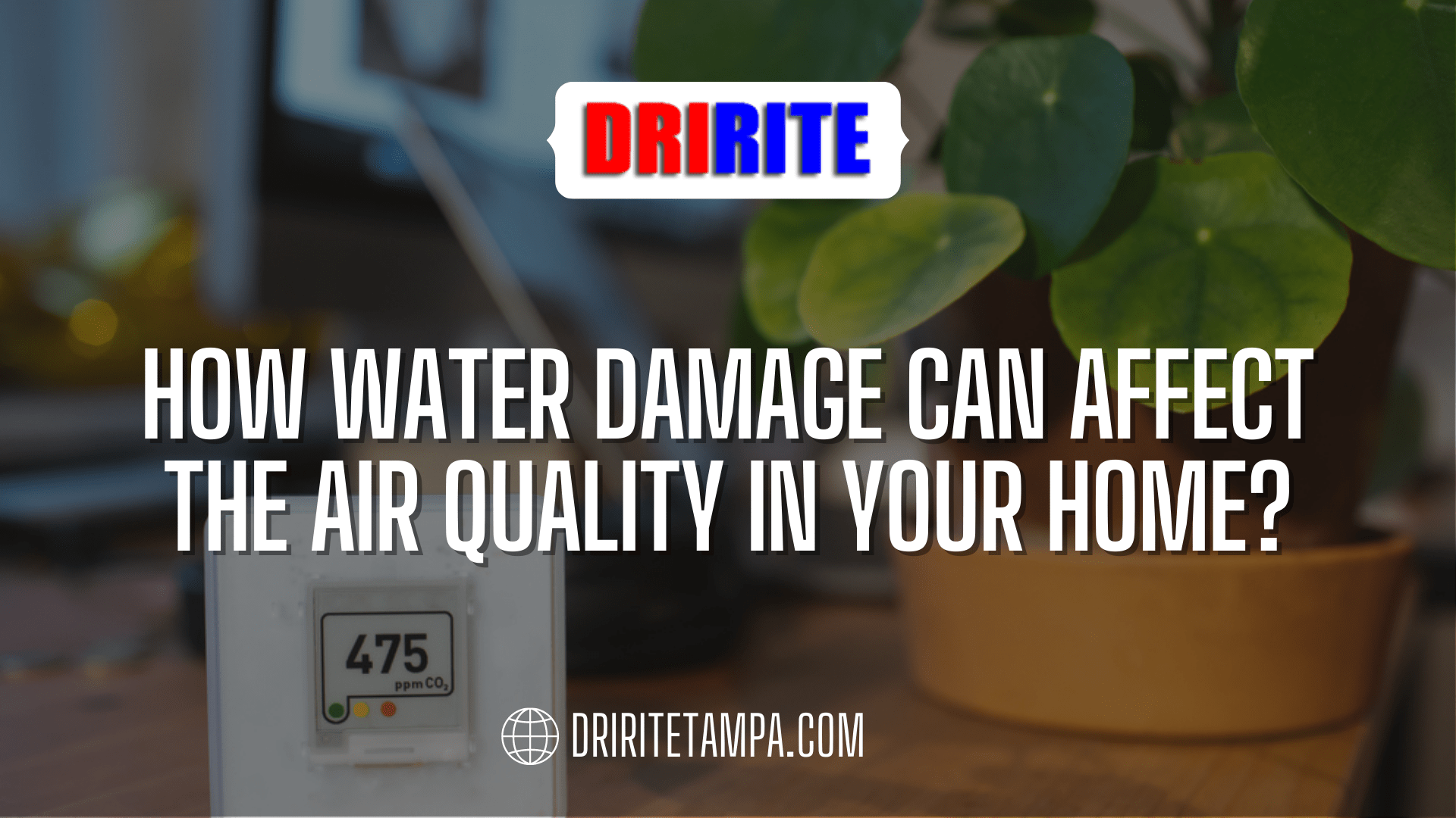 How Water Damage Can Affect the Air Quality in Your Home