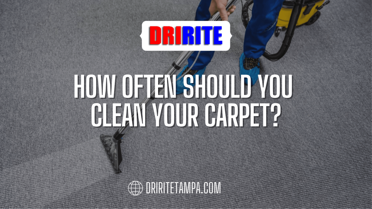 How Often Should You Clean Your Carpet?