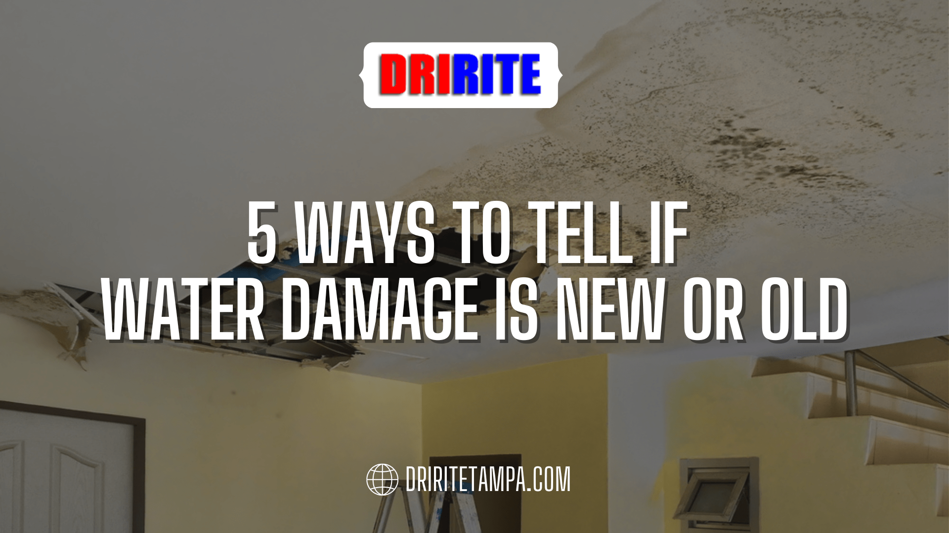 5 Ways To Tell If Water Damage Is New Or Old