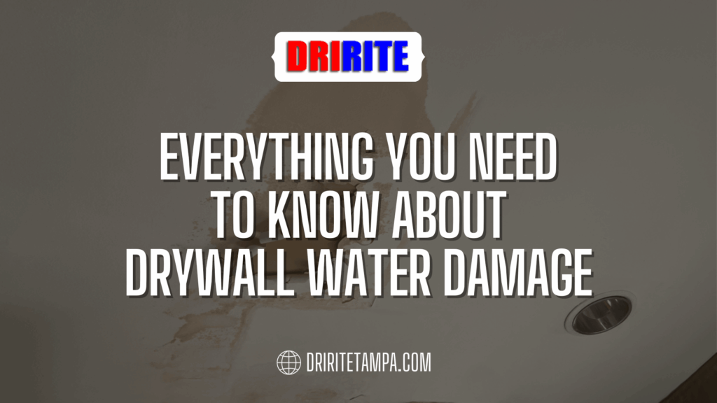 Everything You Need To Know About Drywall Water Damage